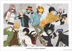 【レア】家庭教師ヒットマンREBORN! イラストポスターコレクション 家庭教師ヒットマン REBORN！』のフェアがアニメイトで開催