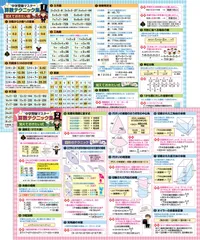 【在庫処分】お風呂の学校 中学受験マスター算数テクニック集 お風呂ポスター 2枚セット 日本製 中学受験に必要な算数テクニック 学習 知育 B3サイズ 防水
