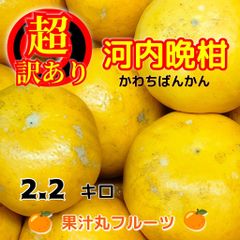 愛媛産　河内晩柑　2.2キロ　超訳あり　不揃い　北海道、沖縄発送不可です。