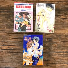 君の肌を壊す夜。紅茶王子の姫君。キミは宙のすべて　2巻/北川みゆき/250552-YP/GF09541