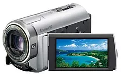 SONY ソニー HDR-CX370V(付属品多数、備品、バッテリヘタリ無し） SONY (ソニー) ビデオカメラ 予備バッテリー付き 420万画素 SDXC