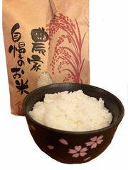 令和５年産井伊直虎ふるさと産キヌヒカリ（精米10kg）
