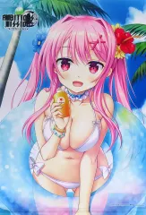 【中古】タペストリー 有瀬かぐや 描き下ろしB2タペストリー 「PS4/Switchソフト AMBITIOUS MISSION」 WonderGOO購入特典