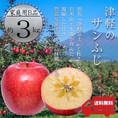 青森県産 ＂ サンふじ ＂ りんご【ご家庭用B品3kg】【送料無料】【産地直送】リンゴ 林檎