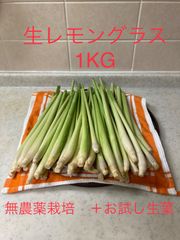 生レモングラス1KG 無農薬栽培　＋お試し生葉