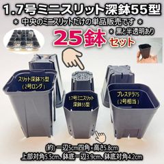 1.7号ミニスリット深鉢55型(高機能スリット鉢)★(直径φ5(対角5.5))：黒・半透明(クリアー)・混色25鉢セット＊プレステラ75型よりコンパクト＊多肉植物・塊根植物コーデックス・アガベ・サボテン・ハオルチア・観葉・実生・さし芽＠フラワーショップ江口
