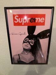 シュプリーム パロディアート a4額付き マット加工品 - メルカリ