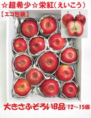 ☆超希少品種☆果肉まで赤～いりんご『栄紅』☆B品☆不揃い約2.5kg【エコ包装】