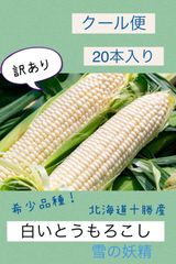 あきちゃんの白いとうもろこしクール便20本