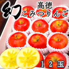 山形産 極蜜リンゴ【こうとく】一箱10個入　こみつより更に高い糖度15~16
