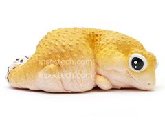 【動物の惑星】超超超激レア! トカゲ限定品&シークレット&廃盤品★フィギュア インセクテック・ドット・コム - メルカリShops