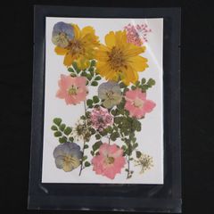 1シート 押し草 押し花 花材 封入素材 ドライフラワー レジン レジン材料 レジン素材 自然素材 OS-00043