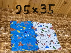 142 こども園　幼稚園　幼保園　ランチョンマット　25×35 恐竜　サウルス　2枚