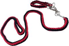 Item thumbnail for item 1d6b3628-9f61-48c3-a8f7-be94ede7c8e8