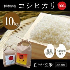 栃木県産　コシヒカリ　特別栽培米　令和4年度産　１０ｋｇ