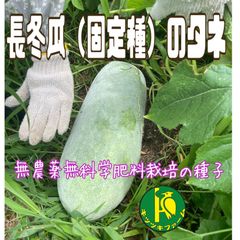 長冬瓜（固定種）のタネ40粒　無農薬・無化学肥料栽培のタネ