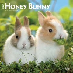 【輸入版】2024年 うさぎ カレンダー / ブラウントラウト 30.5 x 61 cm (Honey Bunny  Calendar)