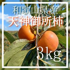 天神御所柿 てんじんごしょ 3kg 和歌山