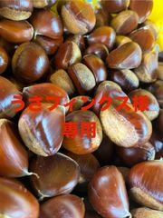 茨城県産【笠間の栗】3kg