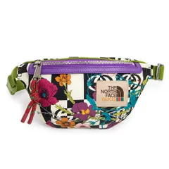グッチ THE NORTH FACE x GUCCI ノースフェイスコラボ ベルト ウエスト ボディバッグ 斜め掛け ナイロン レザー マルチカラー アンティークシルバー金具 650299 GUCCI（未使用　展示品）