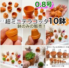 超ミニテラコッタ鉢-0.8号(外径φ2.4×高さ2cm)×10鉢セット＊ミニ鉢に特化した品揃え！※エアプランツや多肉植物は付属しません＠フラワーショップ江口