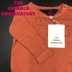 TAO タオ ロンティー 長袖 ベビー服 キッズ 子供服 6M Ｔ-8-128