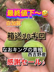 最終値下 青梅 箱込10キロ 数日限定セール なおキングの梅
