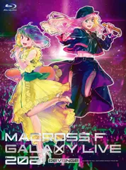 マクロスF　 リベンジLIVE【ビッグアクリルアートパネル】 マクロスF リベンジLIVE【ビッグアクリルアートパネル】 - メルカリ