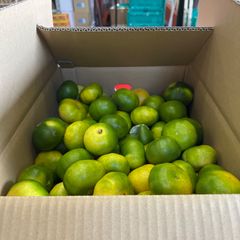 ハウスへべす　3kg（さがわクール配送） ハウスへべす 3kg（さがわクール配送） - メルカリ