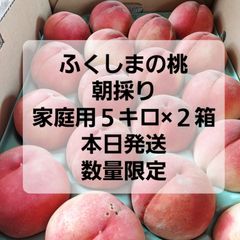 ふくしまの桃　朝採り　家庭用5キロ箱×２箱　数量限定