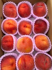 ラスト1セット❣️クール便❣️大きめ立派な黄金桃12玉入り　長野県産　約5kg 専用箱より発送致します。