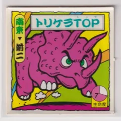 タイムスリップバトル【雷音丸 他 ×13枚セット】 タイムスリップバトル【雷音丸 他 ×13枚セット】 Amazon | ミニ四駆