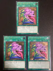強欲で謙虚な壺 AP EU レリーフ 3枚 Amazon.co.jp: 遊戯王OCG 強欲で謙虚な壺 ノーマル SPHR-JP044