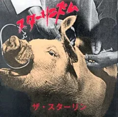 2026年最新】the stalin グッズの人気アイテム - メルカリ