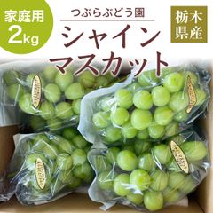 ぶどう 【つぶらぶどう園】 家庭用 シャインマスカット 2kg  栃木県栃木市