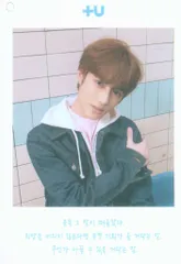 TXT THE DREAM CHAPTER:STAR BEOMGYU トレーディングカード +U