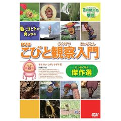 こびと観察入門　DVD BOX ２セット　単品2本　こびとづかん　中古DVD6枚 こびと観察入門DVD BOX 2セット単品2本こびとづかん中古DVD6枚