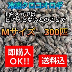 Item thumbnail for item 7ff23706-48e7-47dd-91e8-2a61fccd99f2