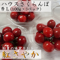 ＊終了間近＊ハウスさくらんぼ【紅さやか】300g（100g×3p入）＊5/12～5/31お届け＊