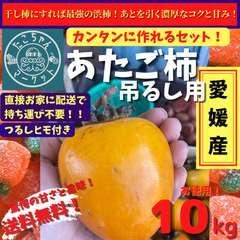 【11月から発送】愛媛県産　高級干柿にも使われる　渋柿　愛宕柿10Kg