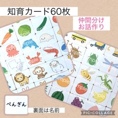 知育カード60枚　仲間分け　ひらがな　絵カード　モンテッソーリ