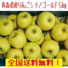 青森県産りんご　シナノゴールド　5ｋｇ