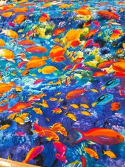 Item thumbnail for item 837c63f4-7afa-4c6e-aaec-9d75319afe54