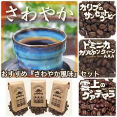おすすめコーヒーセット『さわやか風味』3種各100g【送料込み】(ネコポス配送）