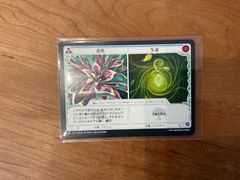 Flesh and Blood FAB SEA 常咲　生命 NF