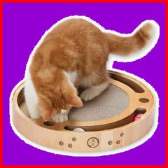 【在庫処分】猫壱 バリバリパッドコロコロボール (サークル)