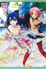 【中古】タペストリー アコ＆セッテ B2タペストリー 「Blu-ray/DVD ネトゲの嫁は女の子じゃないと思った?」 とらのあな全巻購入特典