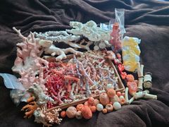 Coral　Collection　 * Raw Coral Wood Set - Natural Beauty from the Deep Sea