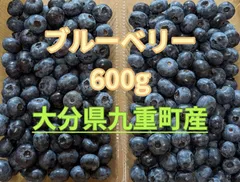朝摘みブルーベリー 600g 常温発送のサムネイル