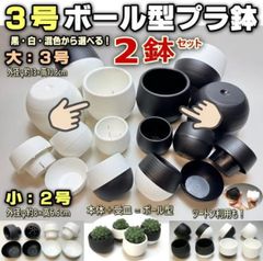 #平日＊日中注文即日発送-3号ボール型プラ鉢(陶器風の上品な質感)白・黒・混合2鉢セット＊セントポーリア・多肉植物・塊根植物コーデックス・アガベ・サボテン・盆栽・観葉・ハオルチア・アデニウム・パキポディウム・実生＠フラワーショップ江口
